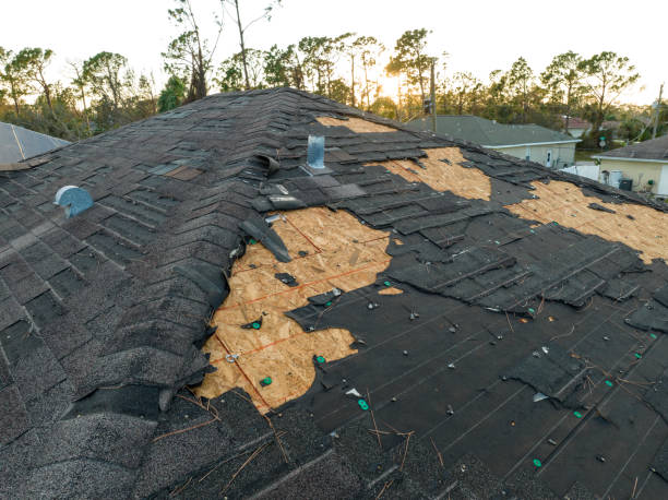 Best Roof Maintenance and Cleaning  in Sea Breeze, NC